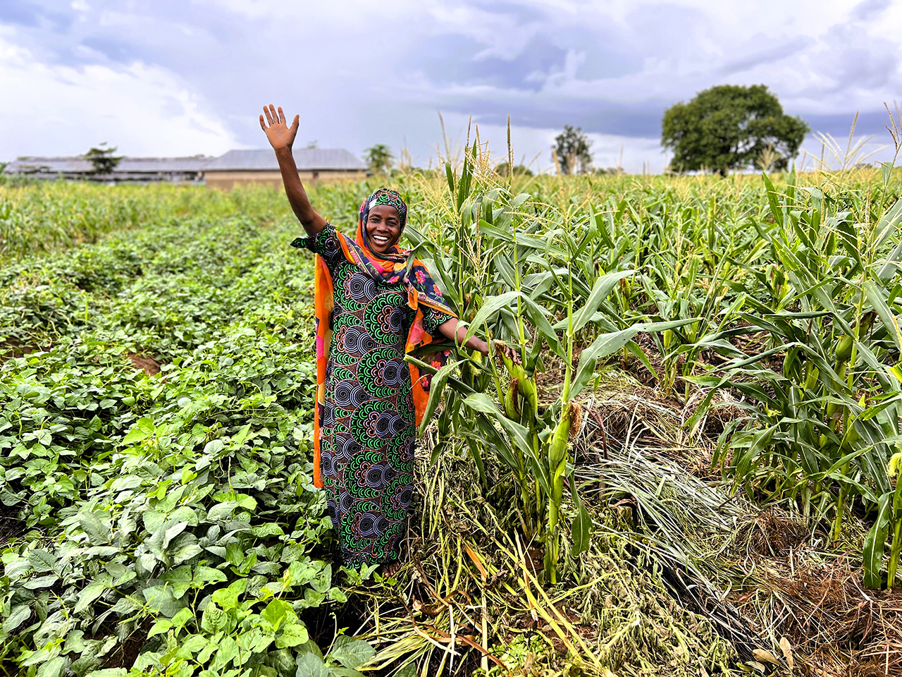 Transforming African Food Systems through Regenerative Agriculture