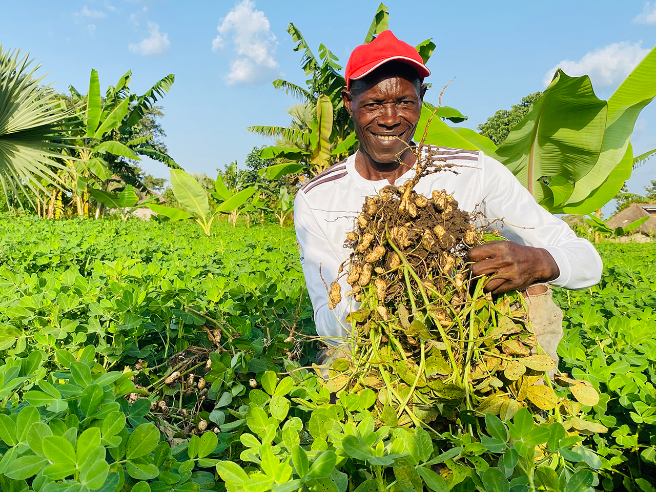 Transforming African Food Systems through Regenerative Agriculture