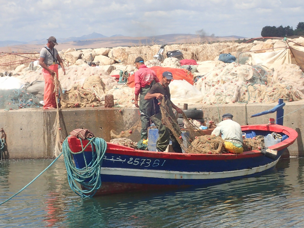 Building Sustainable, Resilient and Inclusive Food Systems and Local Economies in Africa anchored in the Blue Economy and Agriculture